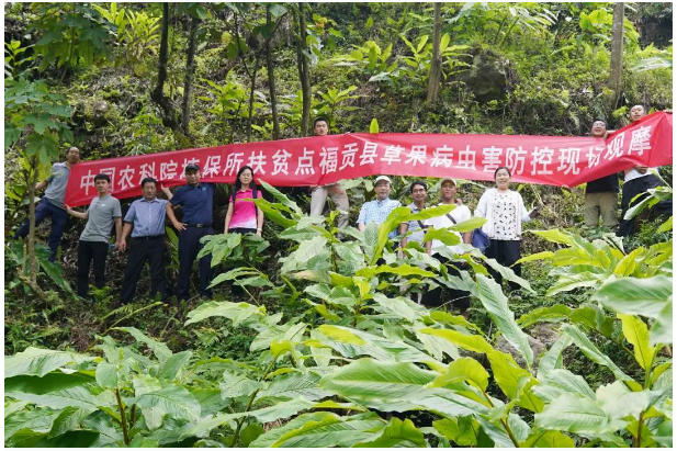 lALPDiQ3MMezvp_NAZvNAmk_617_411.png lALPDiQ3MMezvp_NAZvNAmk_617_411.png