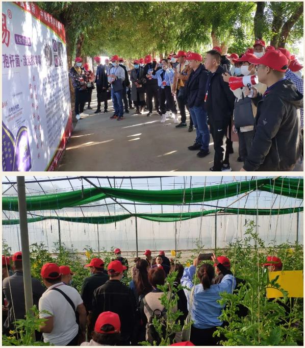 lALPDgfLPrMkVNvNAqrNAlY_598_682.png lALPDgfLPrMkVNvNAqrNAlY_598_682.png