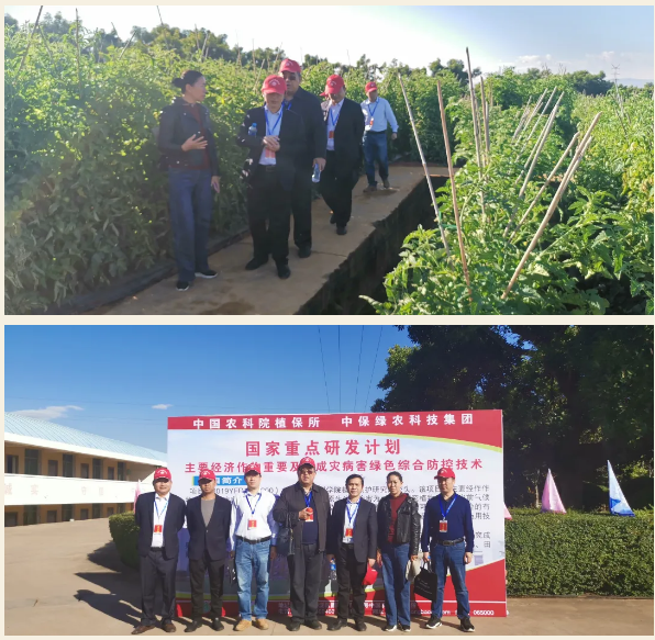 lALPDgQ9wA5ZYdLNAkfNAlQ_596_583.png lALPDgQ9wA5ZYdLNAkfNAlQ_596_583.png