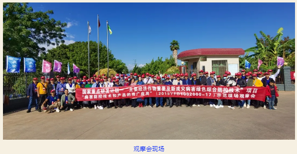 lALPDhJzuqF3rf7NATjNAlk_601_312.png lALPDhJzuqF3rf7NATjNAlk_601_312.png