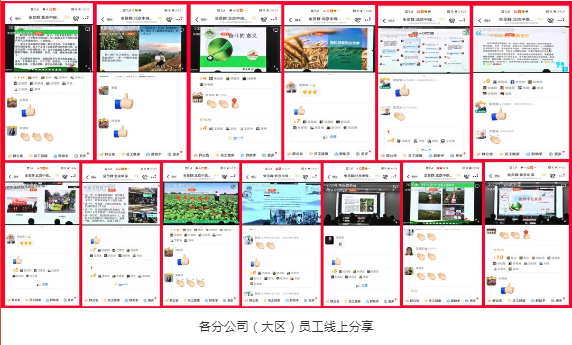 lALPDhYBO3BauiDNAVnNAjw_572_345.png lALPDhYBO3BauiDNAVnNAjw_572_345.png