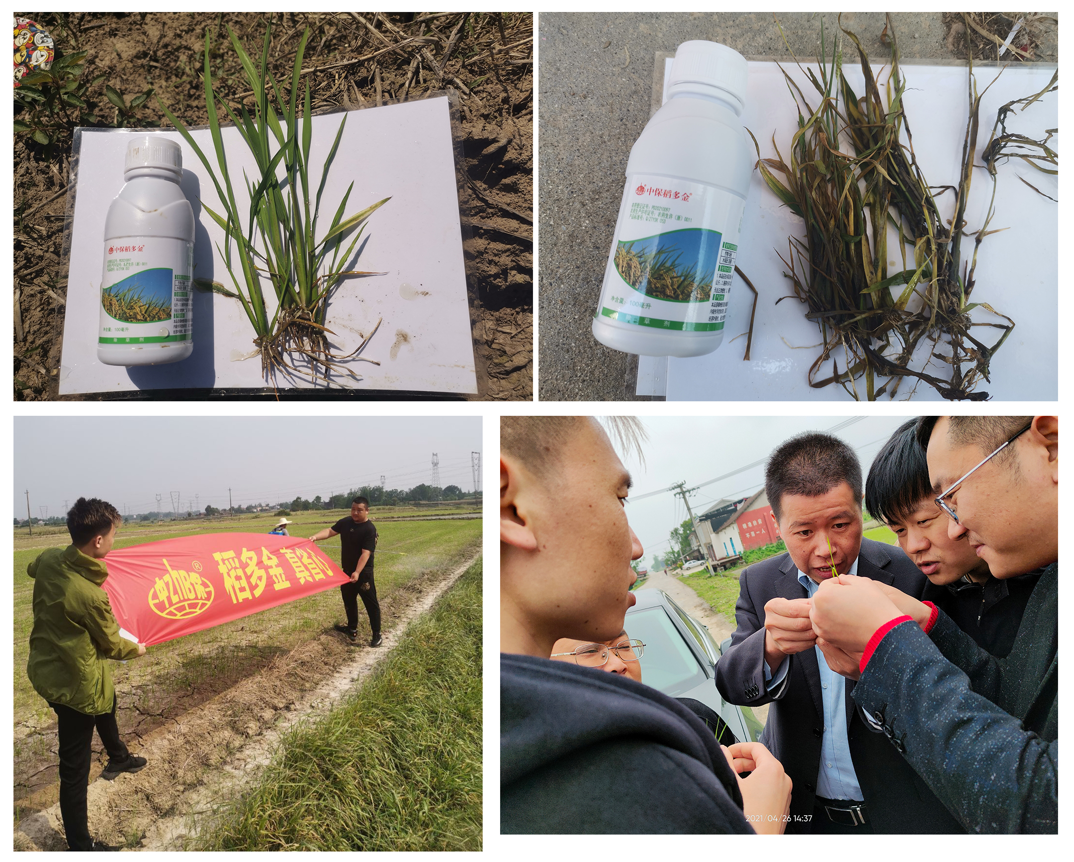 組圖3.jpg 組圖3.jpg