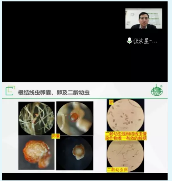 lQLPDhr3tT4w4TjNAnjNAlmw4Ac_K1yqf3QBwxZqF0A1AA_601_632.png lQLPDhr3tT4w4TjNAnjNAlmw4Ac_K1yqf3QBwxZqF0A1AA_601_632.png