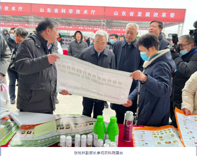 lALPJwnIxLDeagLNAgnNApA_656_521.png lALPJwnIxLDeagLNAgnNApA_656_521.png