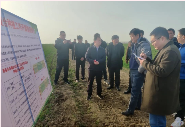 lALPJwKtyKDIFH3NAaTNAmM_611_420.png lALPJwKtyKDIFH3NAaTNAmM_611_420.png