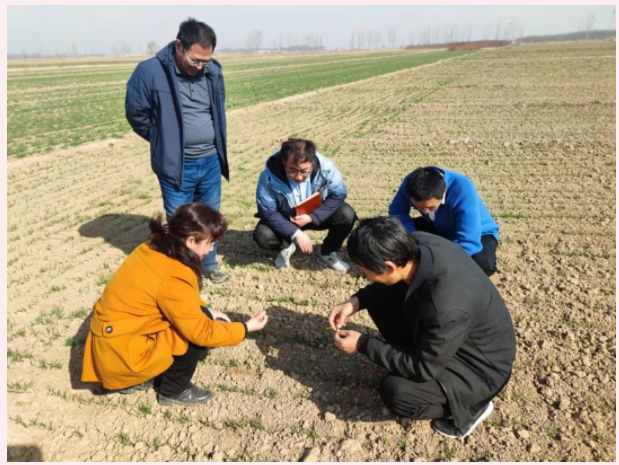 lALPJw1WRI8blfHNAdHNAms_619_465.png lALPJw1WRI8blfHNAdHNAms_619_465.png