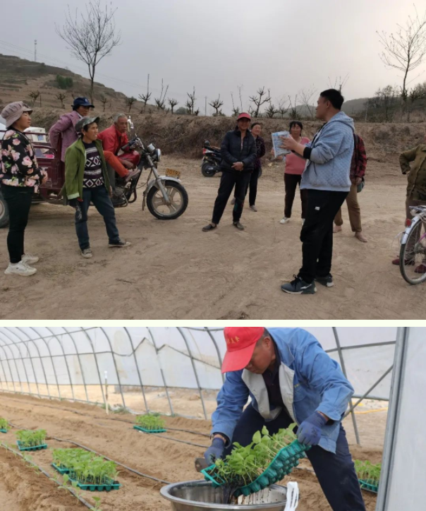 lALPJx8ZwZy8VD7NAtTNAlw_604_724.png lALPJx8ZwZy8VD7NAtTNAlw_604_724.png