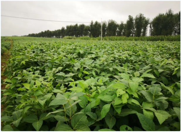 lQLPJxadN_2VNMzNAcbNAmqwuWqAqywgQHMDAqdHxoBhAA_618_454.png lQLPJxadN_2VNMzNAcbNAmqwuWqAqywgQHMDAqdHxoBhAA_618_454.png