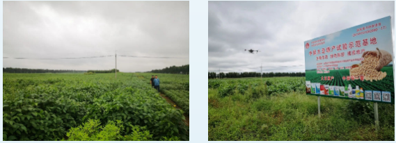 lQLPJxadOBYFTy_Mzs0CObCwkAxIIWl_0wMCp2_fAGEA_569_206.png lQLPJxadOBYFTy_Mzs0CObCwkAxIIWl_0wMCp2_fAGEA_569_206.png