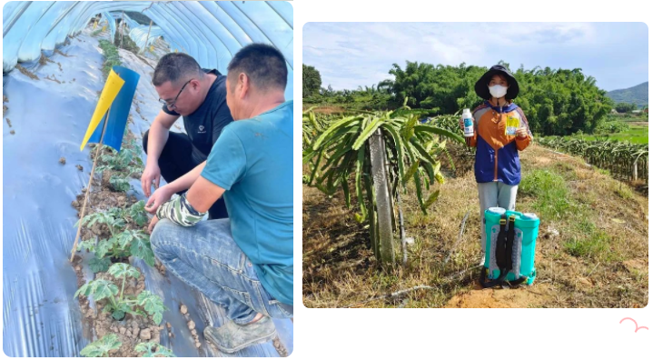 lQLPJxadRdinvm7NAYzNAs-wxTsDUxFXNTMDAr37RMCHAA_719_396.png lQLPJxadRdinvm7NAYzNAs-wxTsDUxFXNTMDAr37RMCHAA_719_396.png