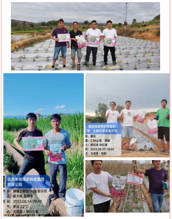 lQLPJxara8V9XFfNAtHNAjaw5Yhyez2RI4sDGewllEDKAA_566_721.png lQLPJxara8V9XFfNAtHNAjaw5Yhyez2RI4sDGewllEDKAA_566_721.png