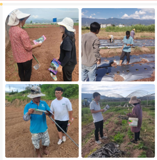 lQLPJxara-UUhcvNAijNAh6w0ckX2ISWWxIDGexZe8B5AA_542_552.png lQLPJxara-UUhcvNAijNAh6w0ckX2ISWWxIDGexZe8B5AA_542_552.png