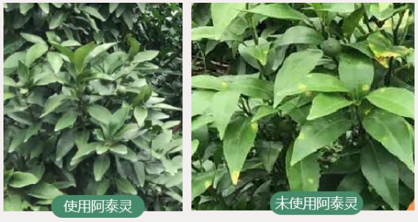 lQLPKHXwtowweJvNAULNAl-wqvgU9n995wwHsQfePLGjAA_607_322.png lQLPKHXwtowweJvNAULNAl-wqvgU9n995wwHsQfePLGjAA_607_322.png